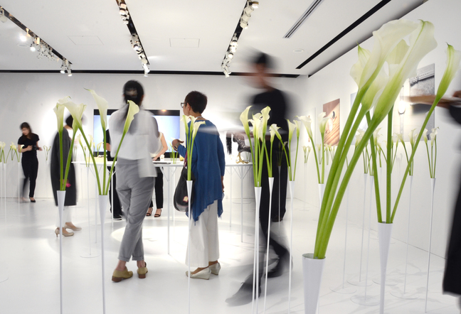 建築家、藤本壮介が提案するシチズンの新感覚ラグジュアリーウオッチ