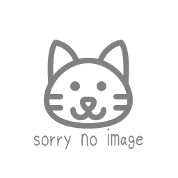 G405LVNS GeoBox 4K/30Pマルチディスプレイコントローラー（1入力4出力