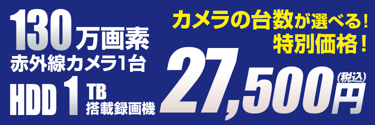 防犯カメラセット カメラ1～4台セット ワイヤレス 130万画素 ALWSET-KG130