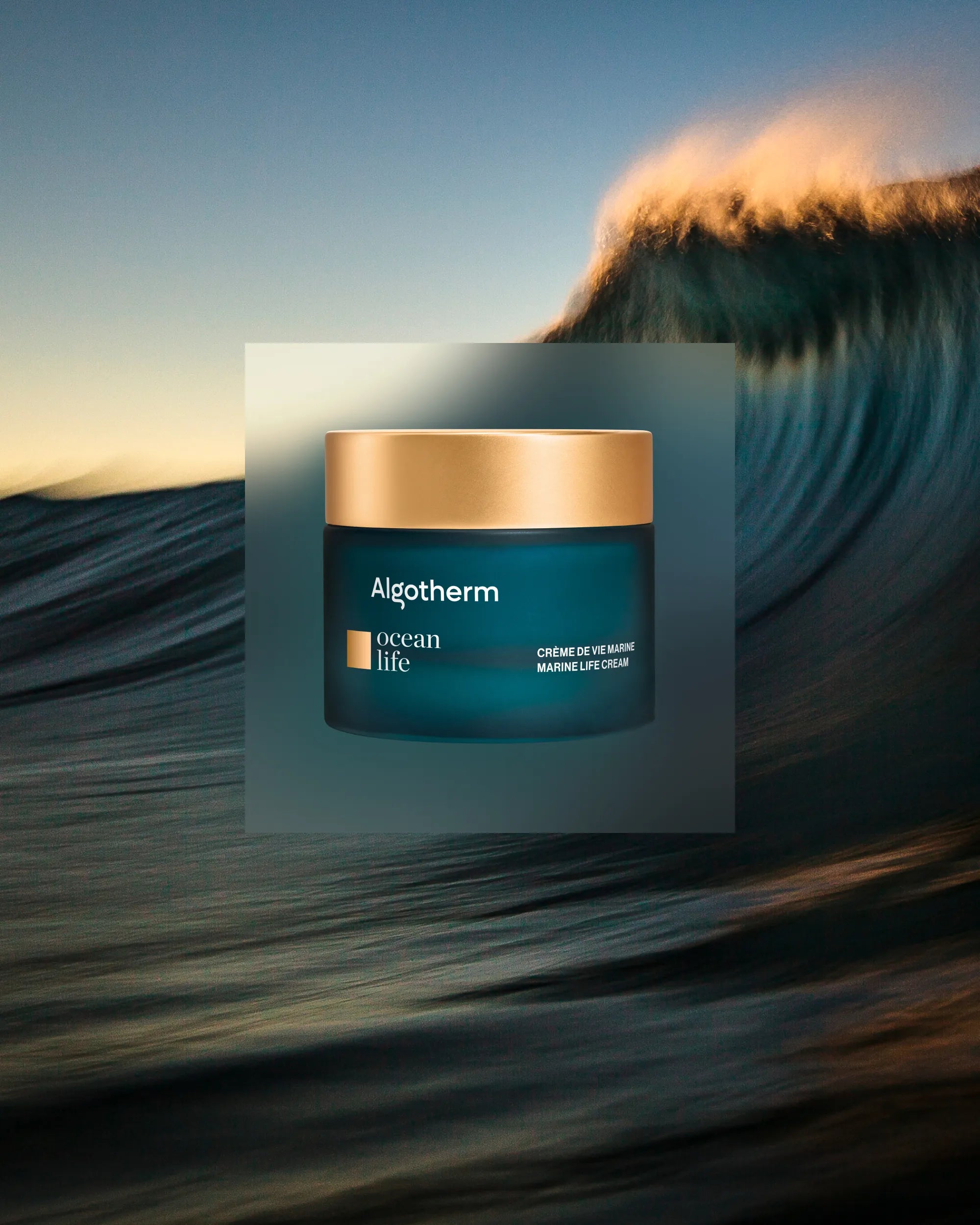Marine Life Cream | Algotherm