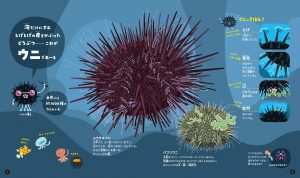 たんけん！ ウニすいぞくかん ｜ アリス館