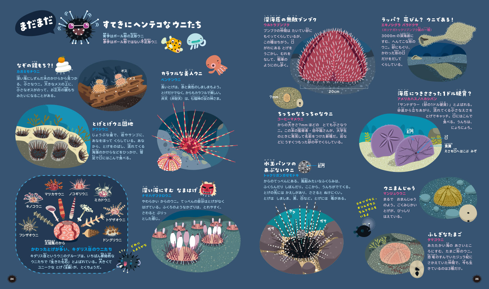 たんけん！ ウニすいぞくかん ｜ アリス館