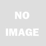 オリジナルビデオアニメ 新・同棲時代 HAWAIIAN BREEZE