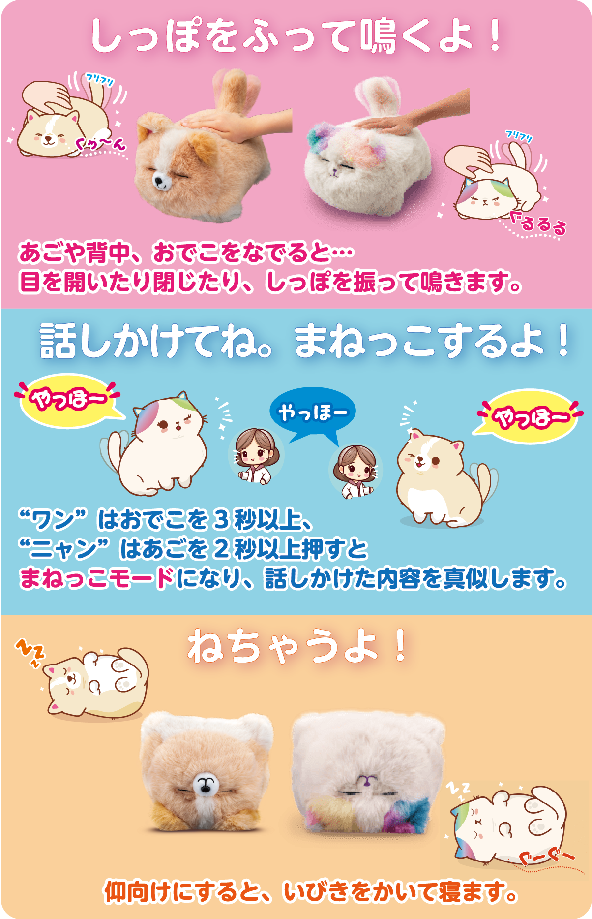 ニャンだきみは！？ ワンだきみは！？｜PINOCCHIO｜株式会社アガツマ