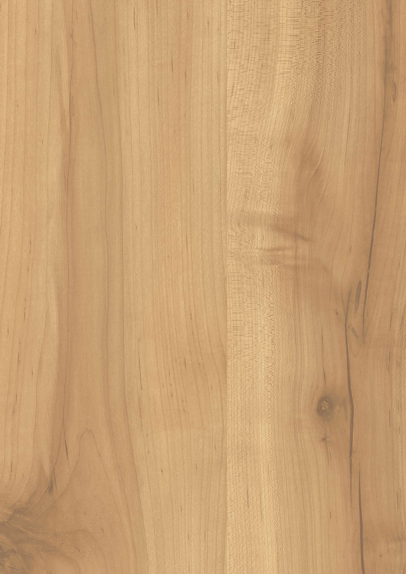 BTM531 | アイカ工業株式会社