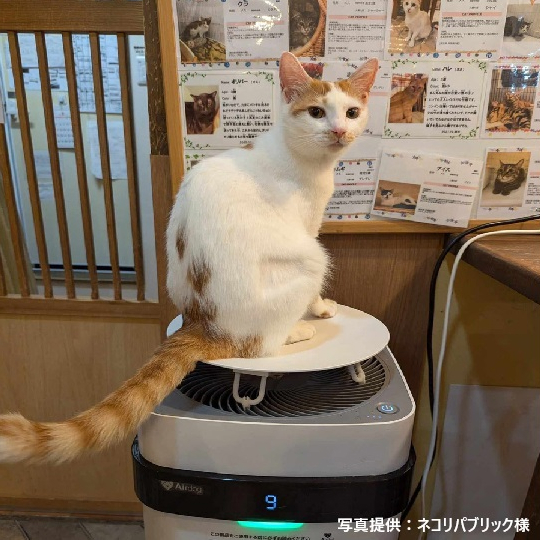 公式】Airdog | Airdog X3D｜マットブラック（トッププレート付