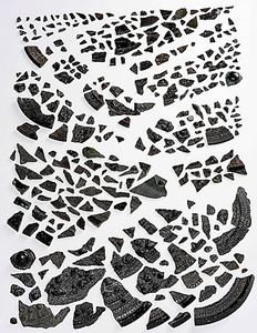 なぜ鏡は割れていたのか 質量とも王のあかし、奈良・桜井茶臼山古墳