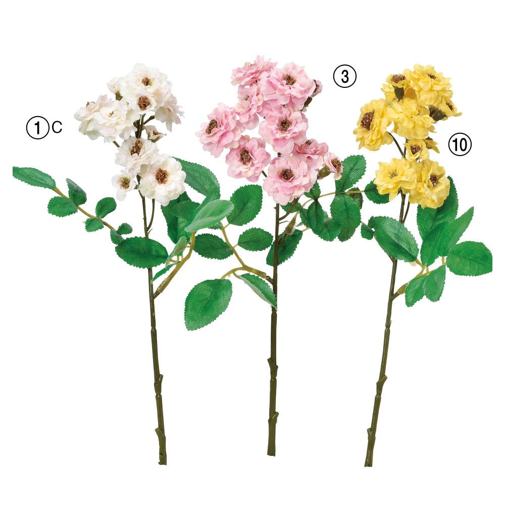 ポンポンローズ×11｜商品案内｜株式会社アスカ商会