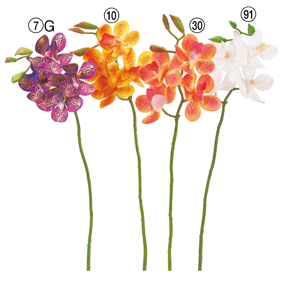 モカラ×4つぼみ×3｜商品案内｜株式会社アスカ商会