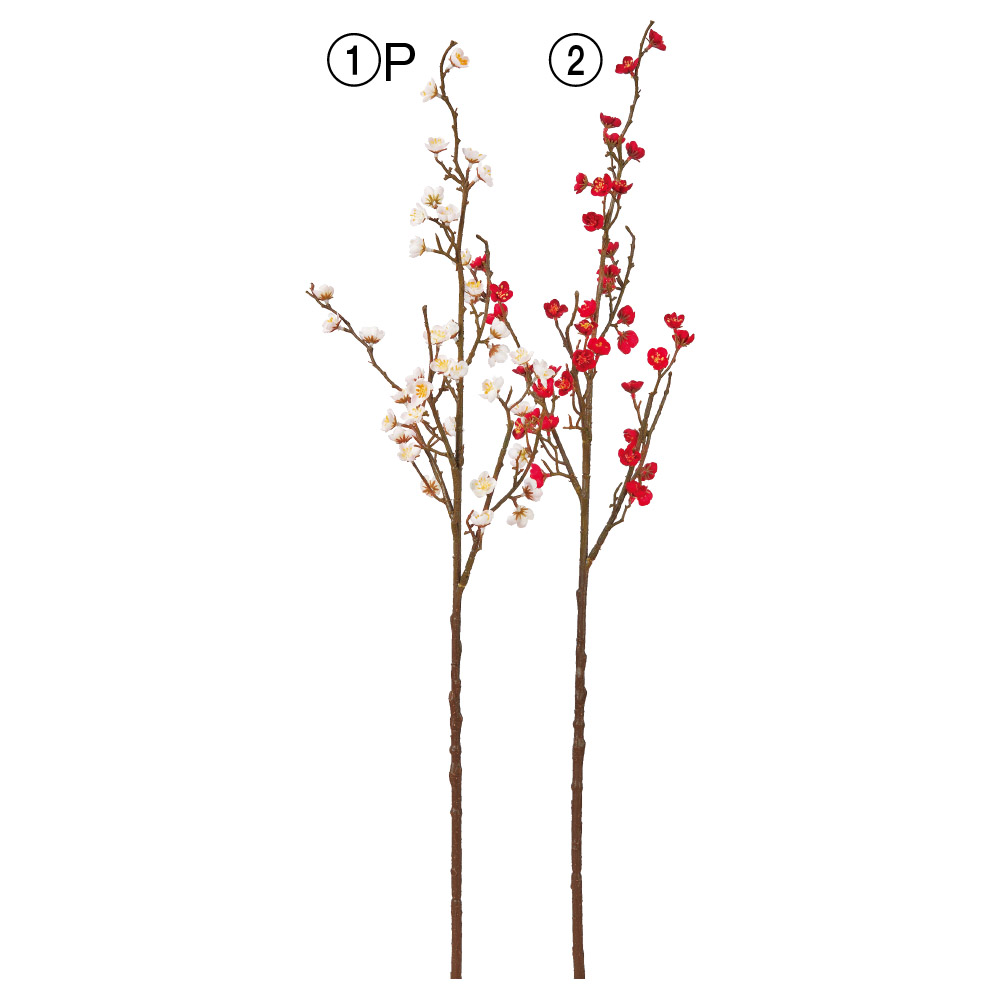 梅×39｜商品案内｜株式会社アスカ商会