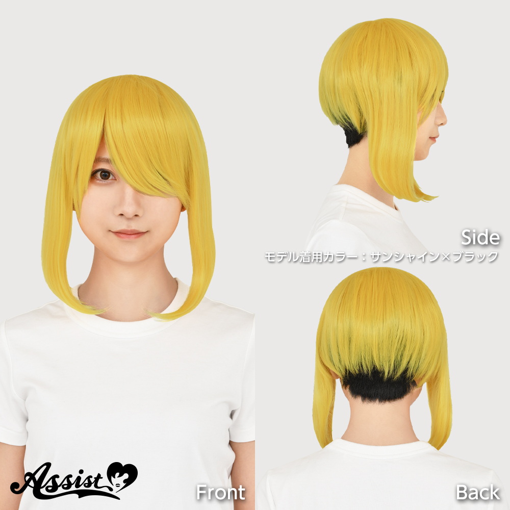 コスプレ用ウィッグ ツーブロックウィッグ ブラック×ブラック