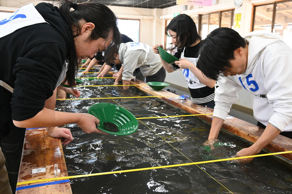 砂金採り真剣勝負 伊豆・土肥金山｜静岡新聞DIGITAL 静岡県のニュース