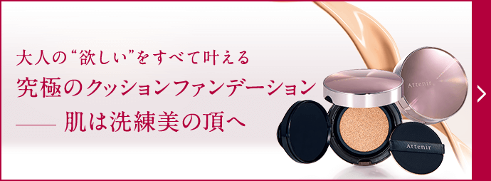 ラスターフィニッシュファンデーションパーフェクトクッション セット