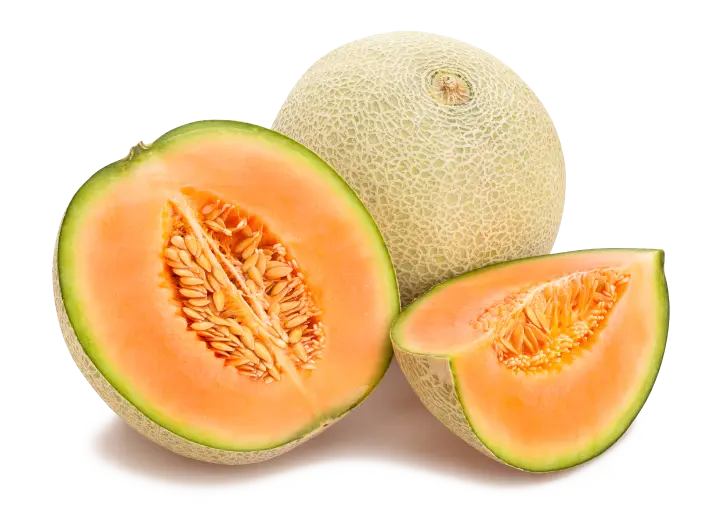 当てるだけで測定可能！PAL光センサーメロンの活用事例 | 株式会社