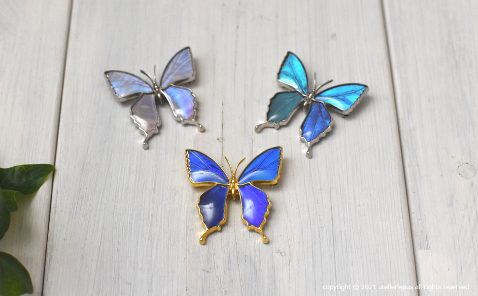 カキカモルフォ 蝶の翅 ブローチ兼ペンダント シルバー925 (ゴールド