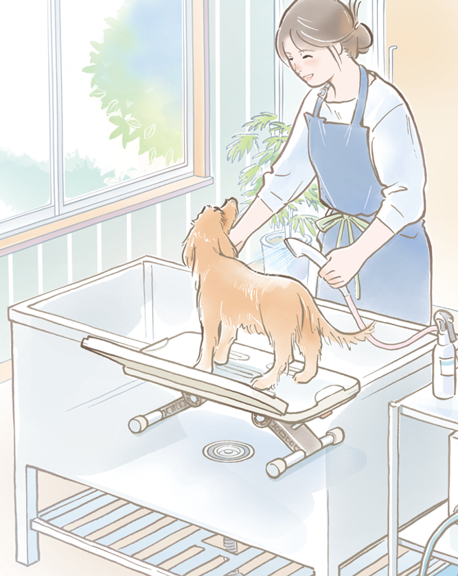 入浴介助の負担を軽減！バスボード“はねあげくん”発売 一人でも安全に