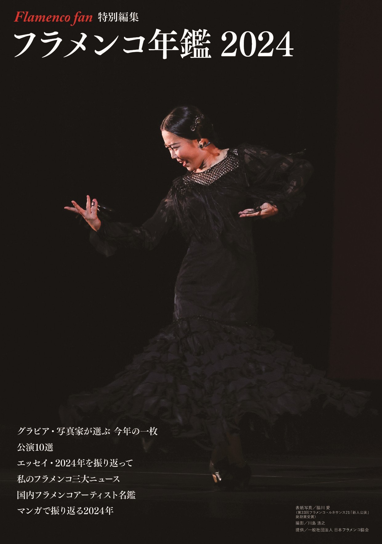 フラメンコ DVD コレクション 約20枚 フラメンコ DVD コレクション 約