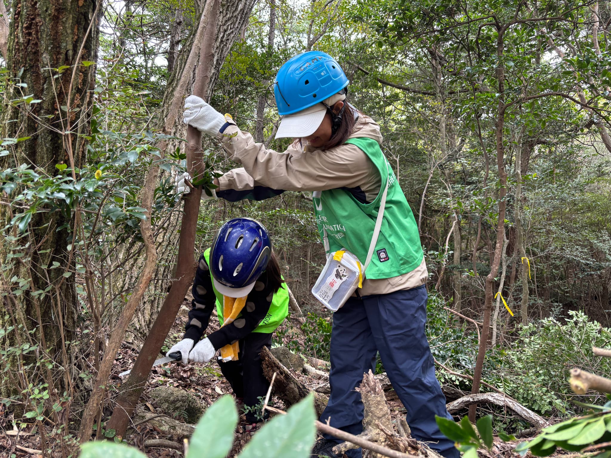2026年4月 兵庫県にて「六甲山の森づくり」開催決定 | 公益財団法人