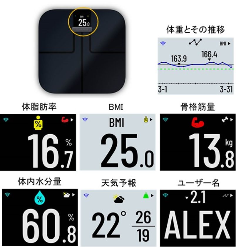 スマート体重計で日々の体調を＜見える化＞して健康意識を高める