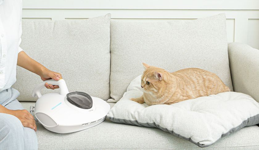 唯一約65℃の温風でダニ死滅可能なふとんクリーナー 『レイコップPRO2