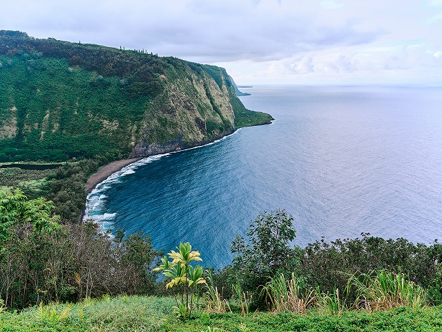 ハワイ島 | ハワイ州 - エイビスレンタカー ドライブガイド