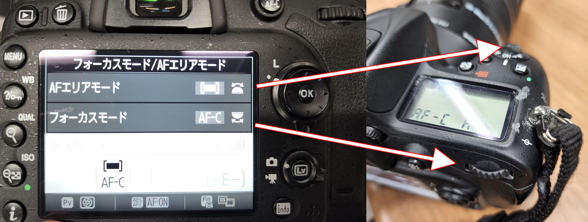 キヤノン・ニコン便利なスポーツ撮影セット撮り比べ！ 大望遠レンズで