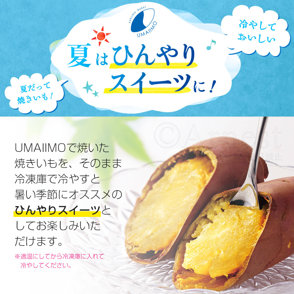 yakiimo baker UMAIIMO（ウマイーモ） / A-77463 | アーネスト株式会社