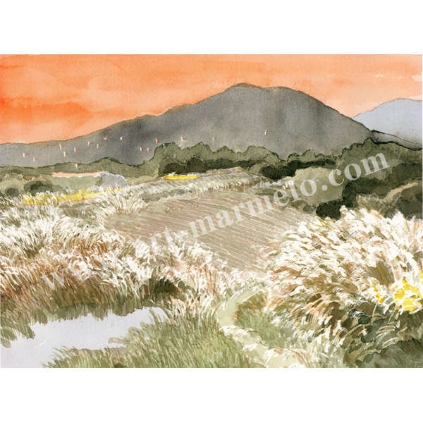 安野光雅「山梨県北杜市明野町、赤とんぼ」 自筆サイン、エディション