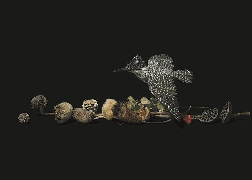 特別展「野田弘志 真理のリアリズム」 | 奈良県立美術館 | 美術館