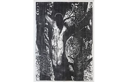 嶋田しづ・磯見輝夫展 色彩とモノクローム | 横須賀美術館 | 美術館