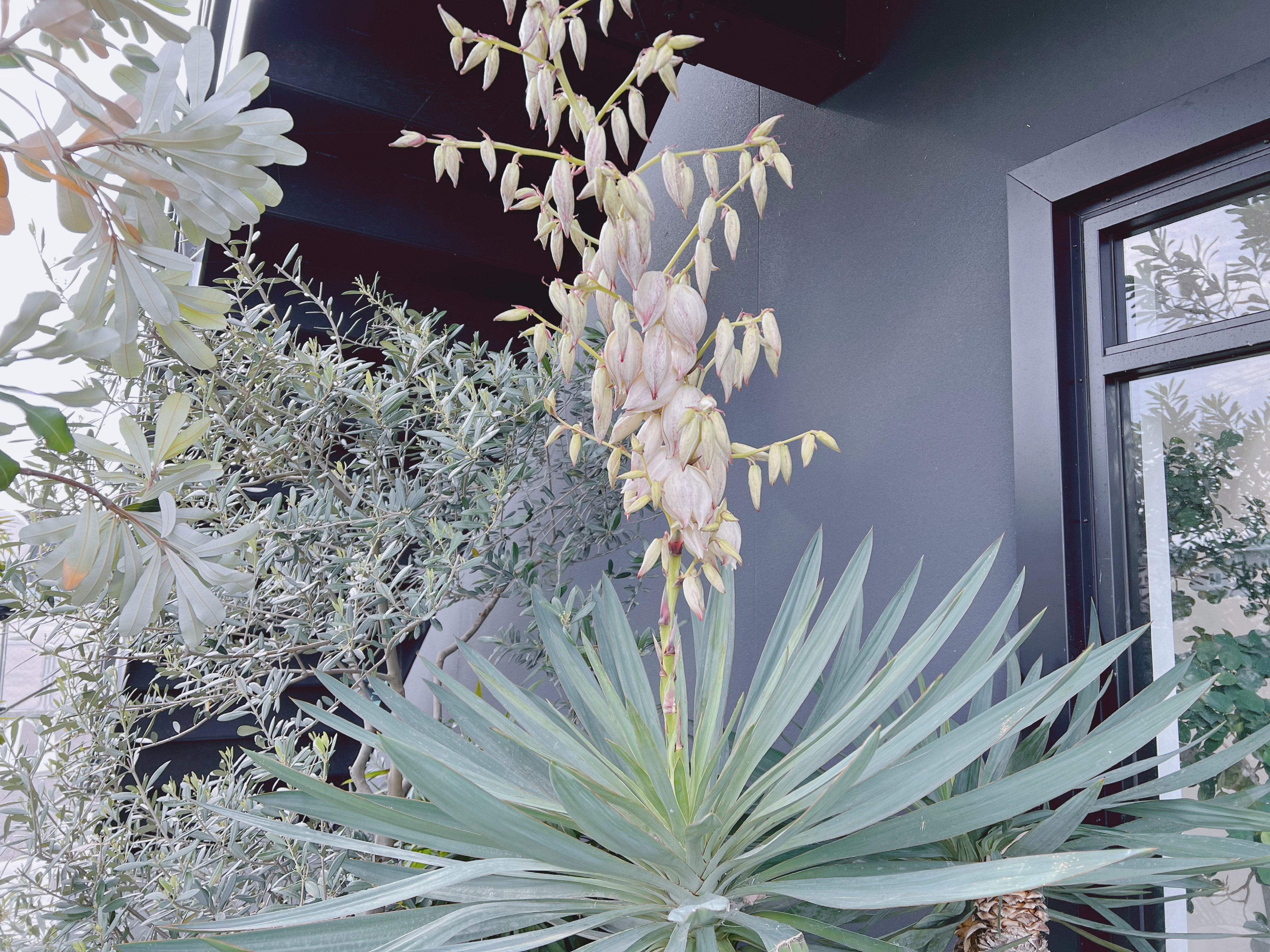 新着情報・ブログ | 新着情報・ブログ | 香川県 高松市｜エクステリア