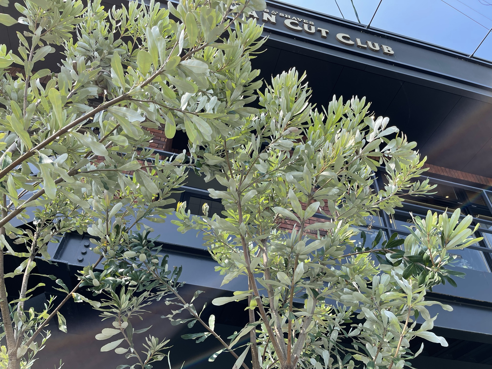 新着情報・ブログ | 新着情報・ブログ | 香川県 高松市｜エクステリア