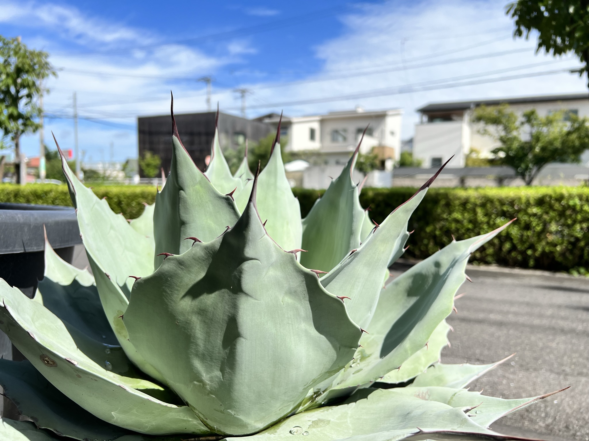新着情報・ブログ | 新着情報・ブログ | 香川県 高松市｜エクステリア