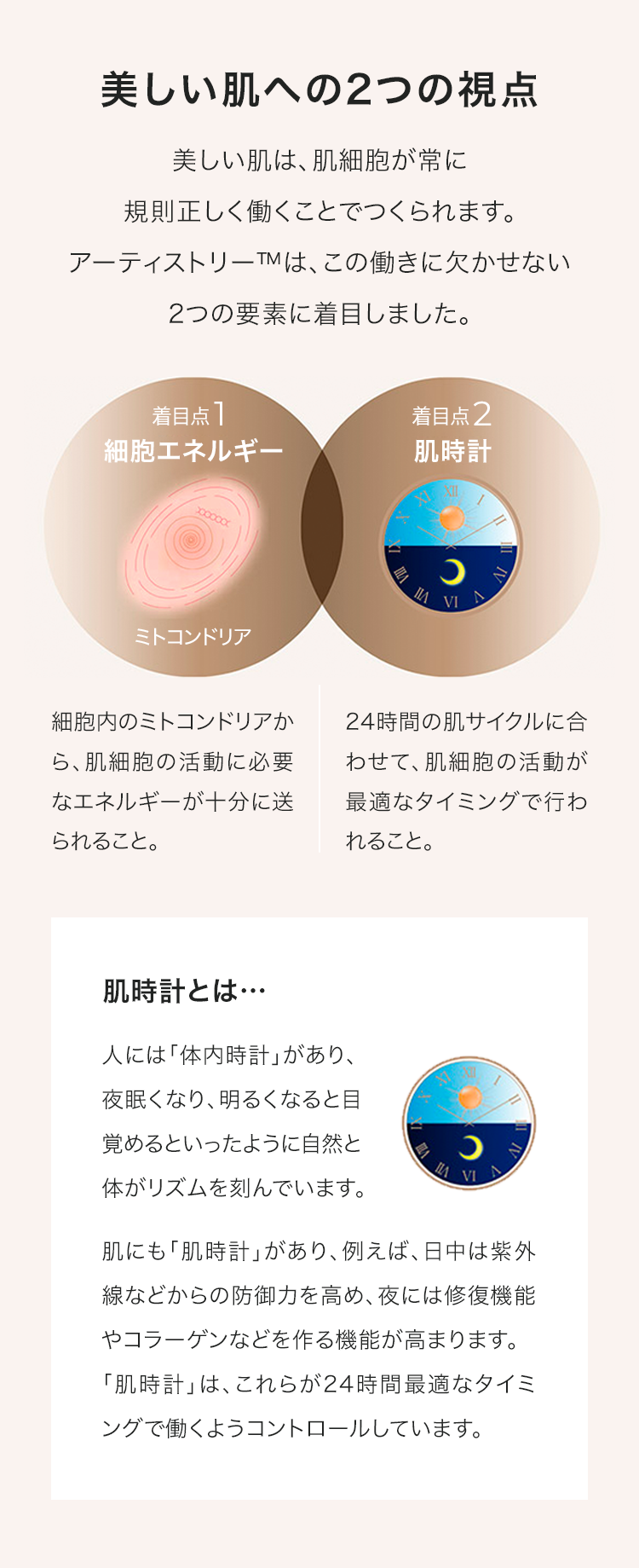 シュプリームLX 特長 | アーティストリー