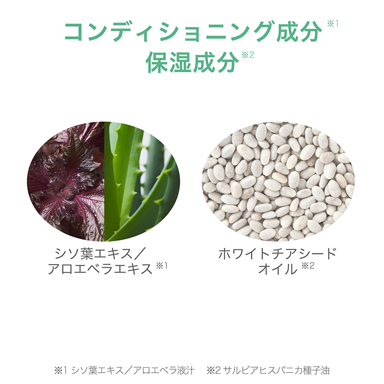 アーティストリースキン NT™ さっぱりフェイスウォッシュ