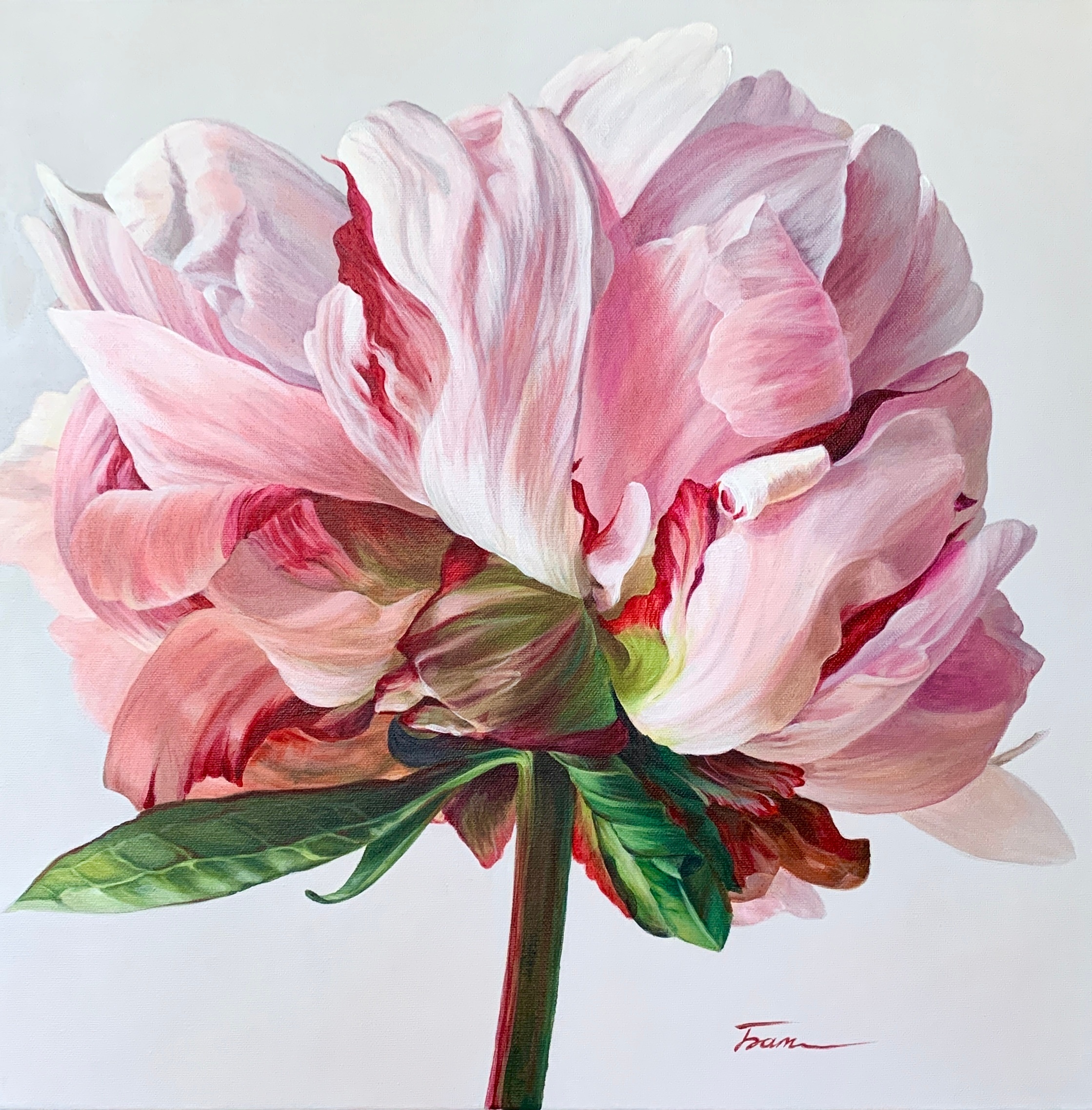 ボタニカルアート：科学的精密さと美的感情の間 | ArtMajeur Magazine