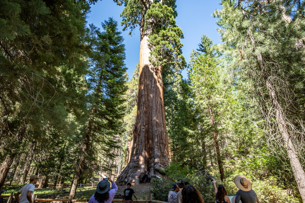 キングスキャニオン国立公園】Zumwalt Meadow, Cedar Grove Village
