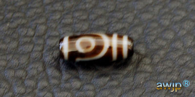 二眼天珠 (にがんてんじゅ) | チベット天珠専門店 awjp