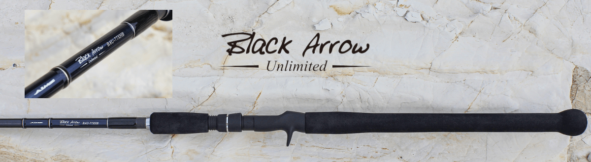 ベイトキャスティングモデル | フィッシングブランド「AIMS（エイムス