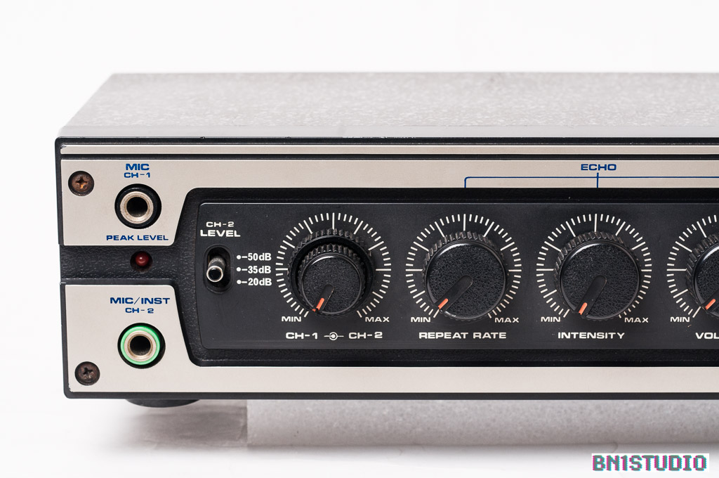 Roland DC-20 Analog Echo (Refurbished & Recapped) #2 - BN1studio