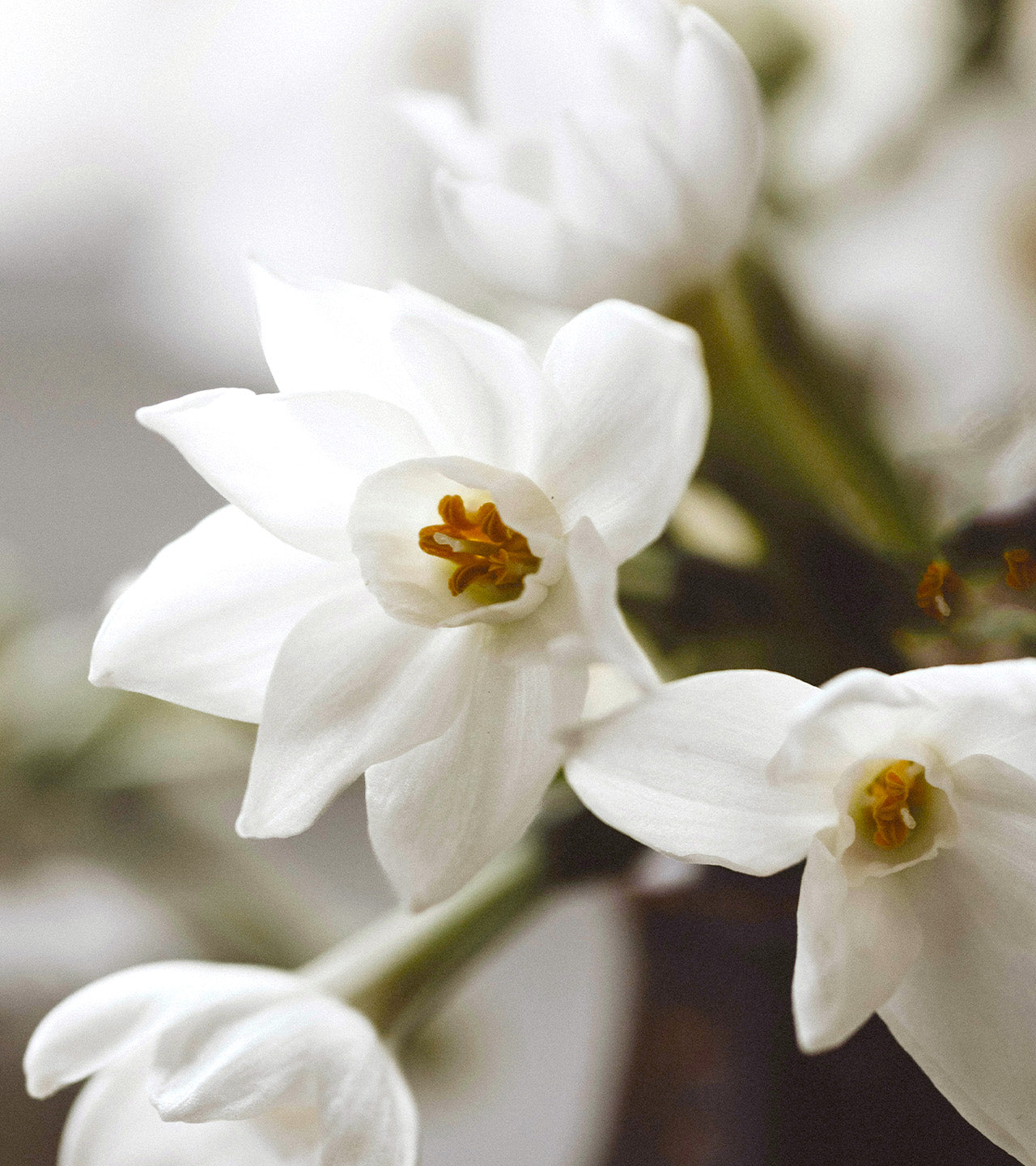 Park Avenue | Bond No. 9 New York