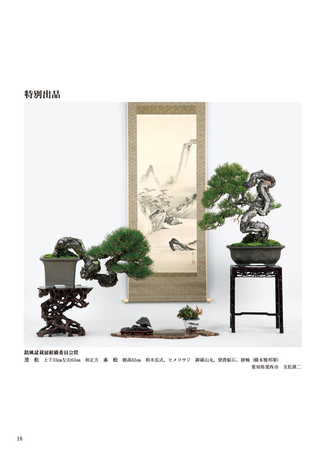 第93回 銘風盆栽展 記念帖 | 盆栽、盆栽書籍、盆栽鉢の通販│近代出版
