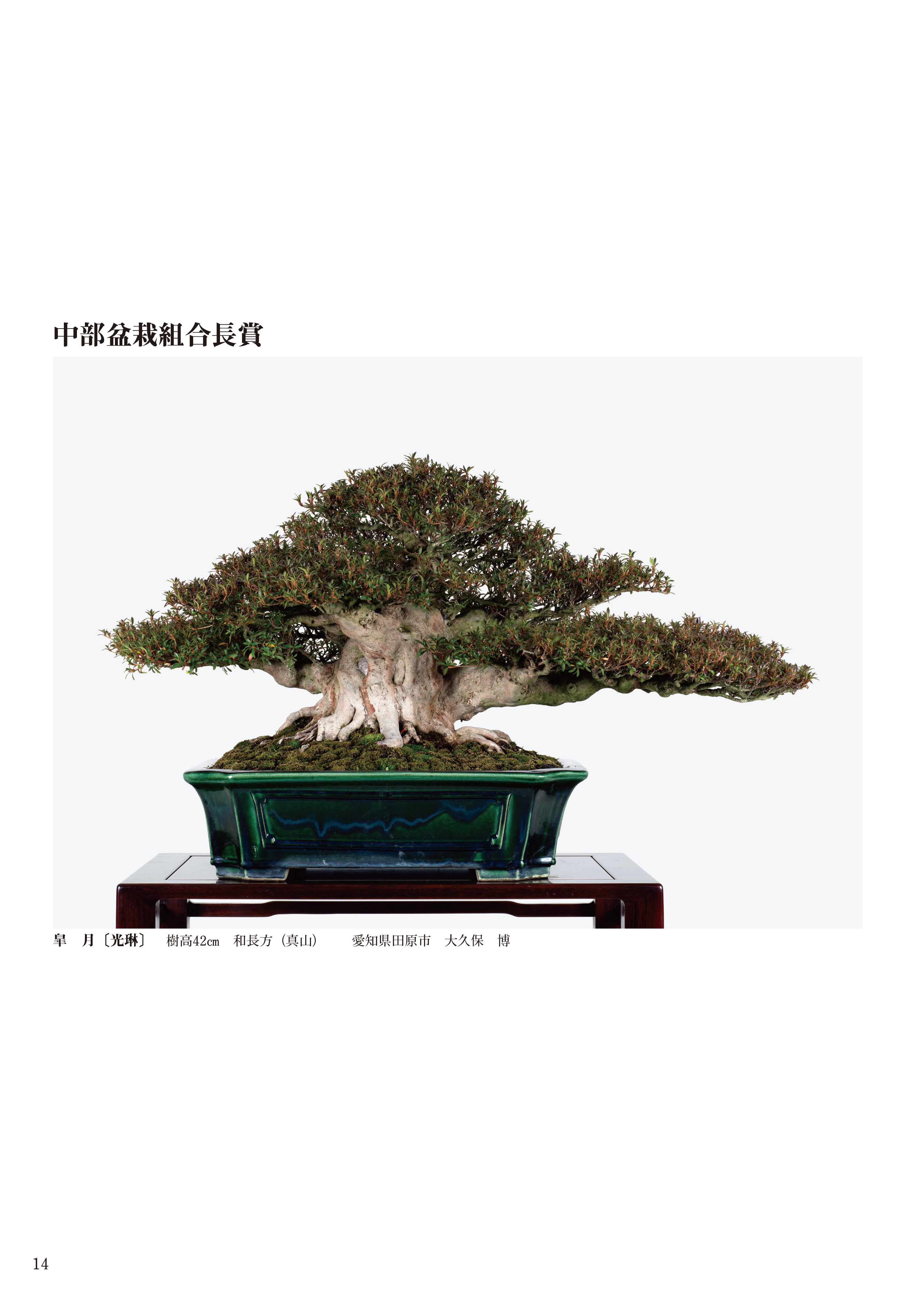 第94回 銘風盆栽展 記念帖 | 盆栽、盆栽書籍、盆栽鉢の通販│近代出版