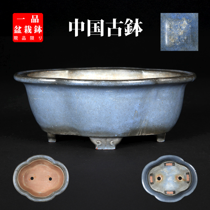 支那鉢（中国古鉢） | 盆栽、盆栽書籍、盆栽鉢の通販│近代出版