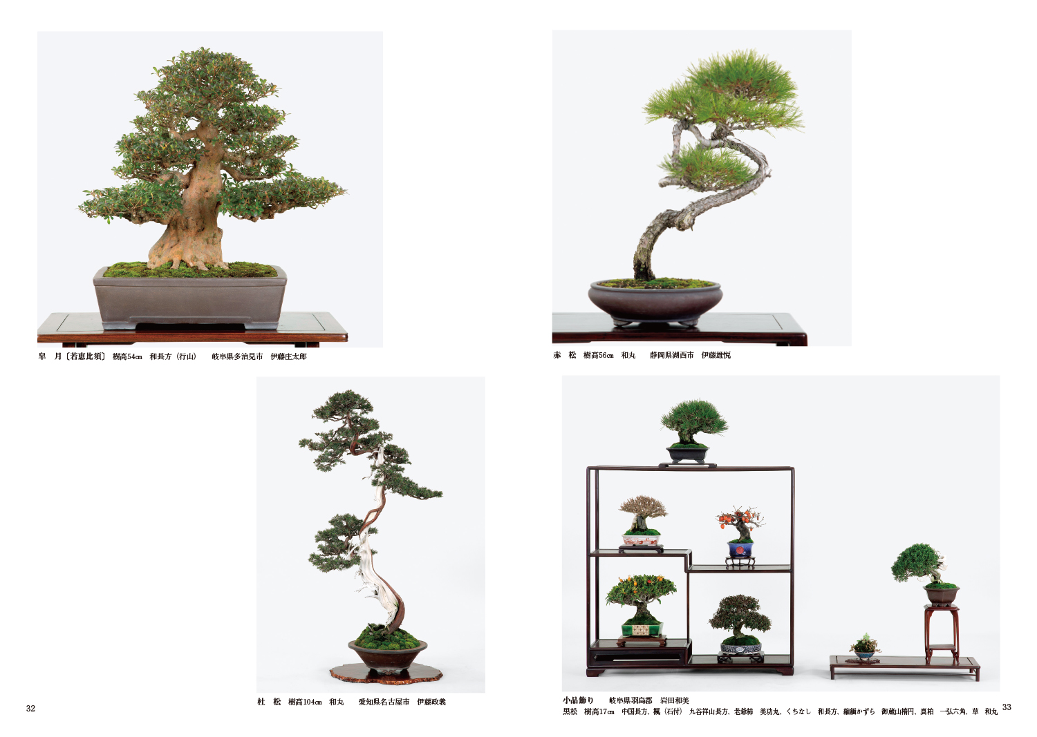 第91回 銘風盆栽展 記念帖 | 盆栽、盆栽書籍、盆栽鉢の通販│近代出版