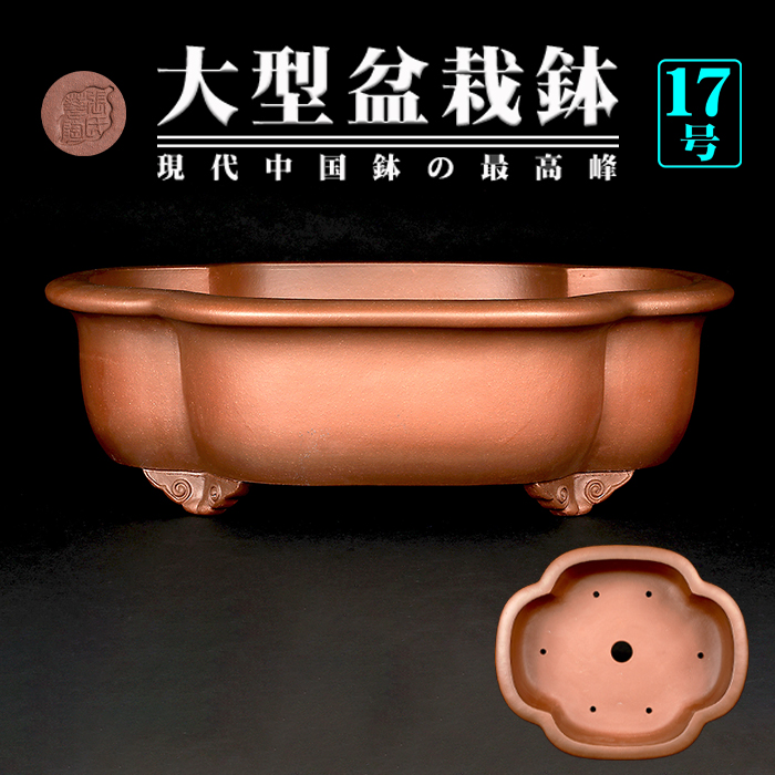 紫泥外縁木瓜式鉢 | 盆栽、盆栽書籍、盆栽鉢の通販│近代出版