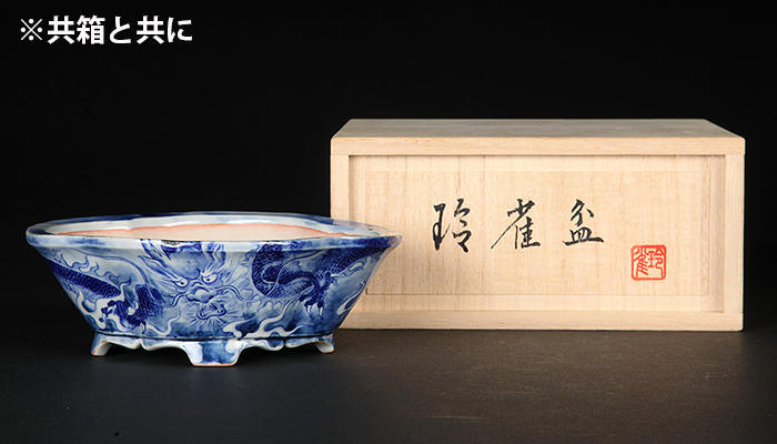 玲雀染付龍図木瓜式鉢 | 盆栽、盆栽書籍、盆栽鉢の通販│近代出版