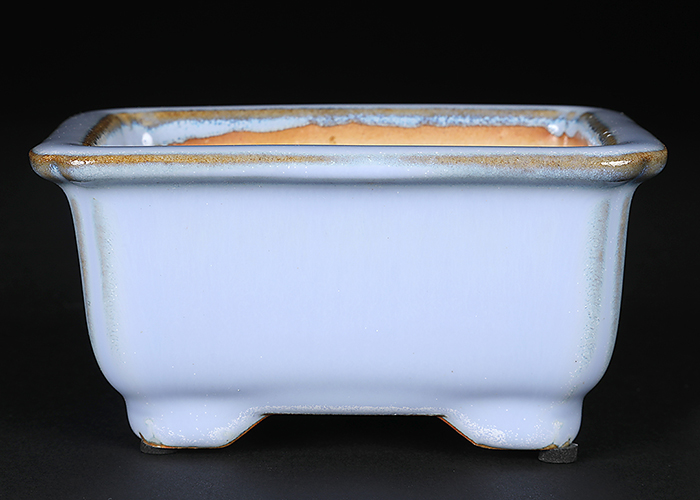 広東隅入長方鉢〔石峰雨竹〕 | 盆栽、盆栽書籍、盆栽鉢の通販│近代出版