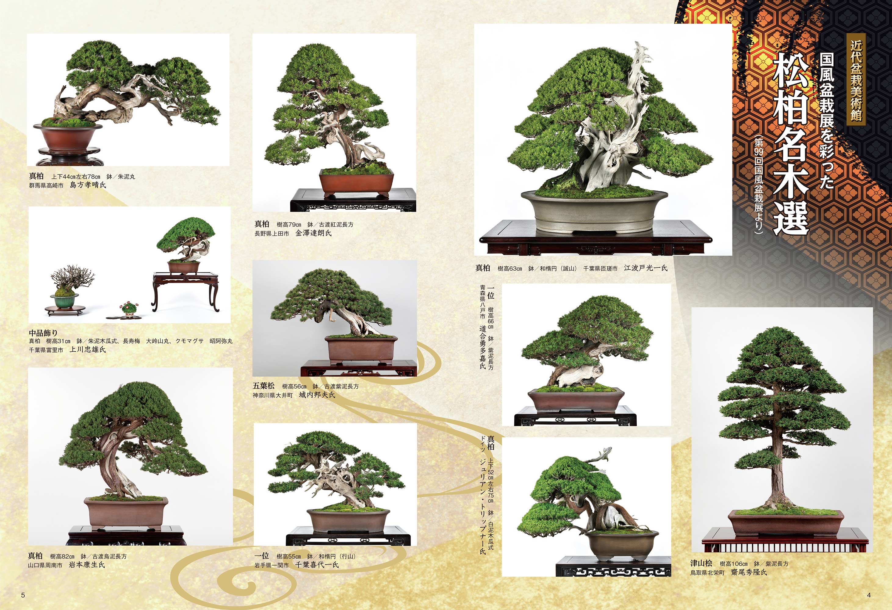 月刊「近代盆栽」2025年9月号 | 盆栽、盆栽書籍、盆栽鉢の通販│近代出版