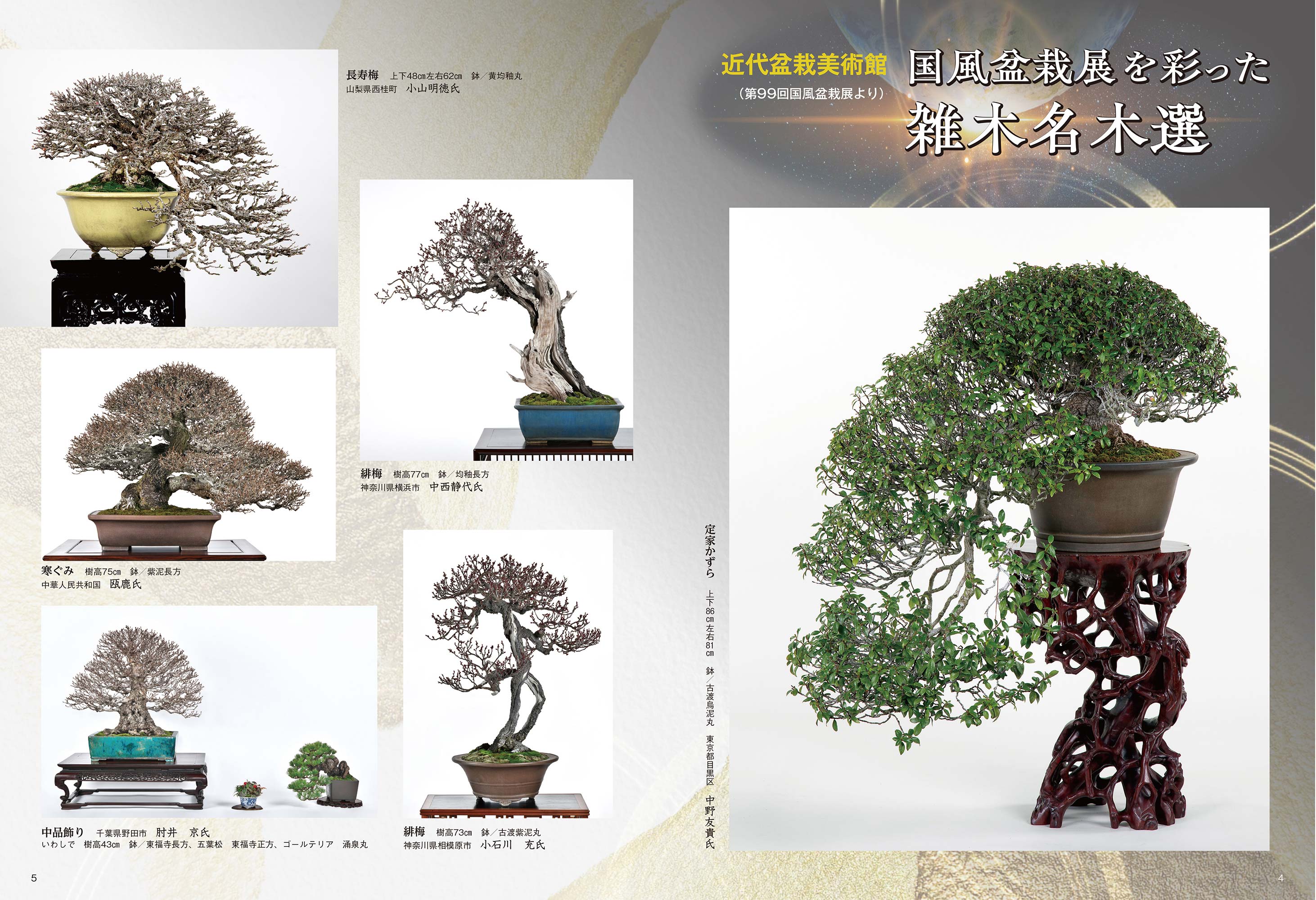 月刊「近代盆栽」2025年10月号 | 盆栽、盆栽書籍、盆栽鉢の通販│近代出版